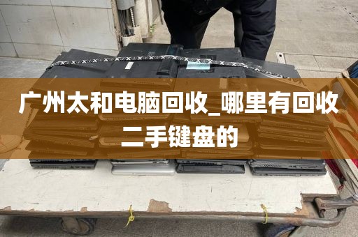 广州太和电脑回收_哪里有回收二手键盘的